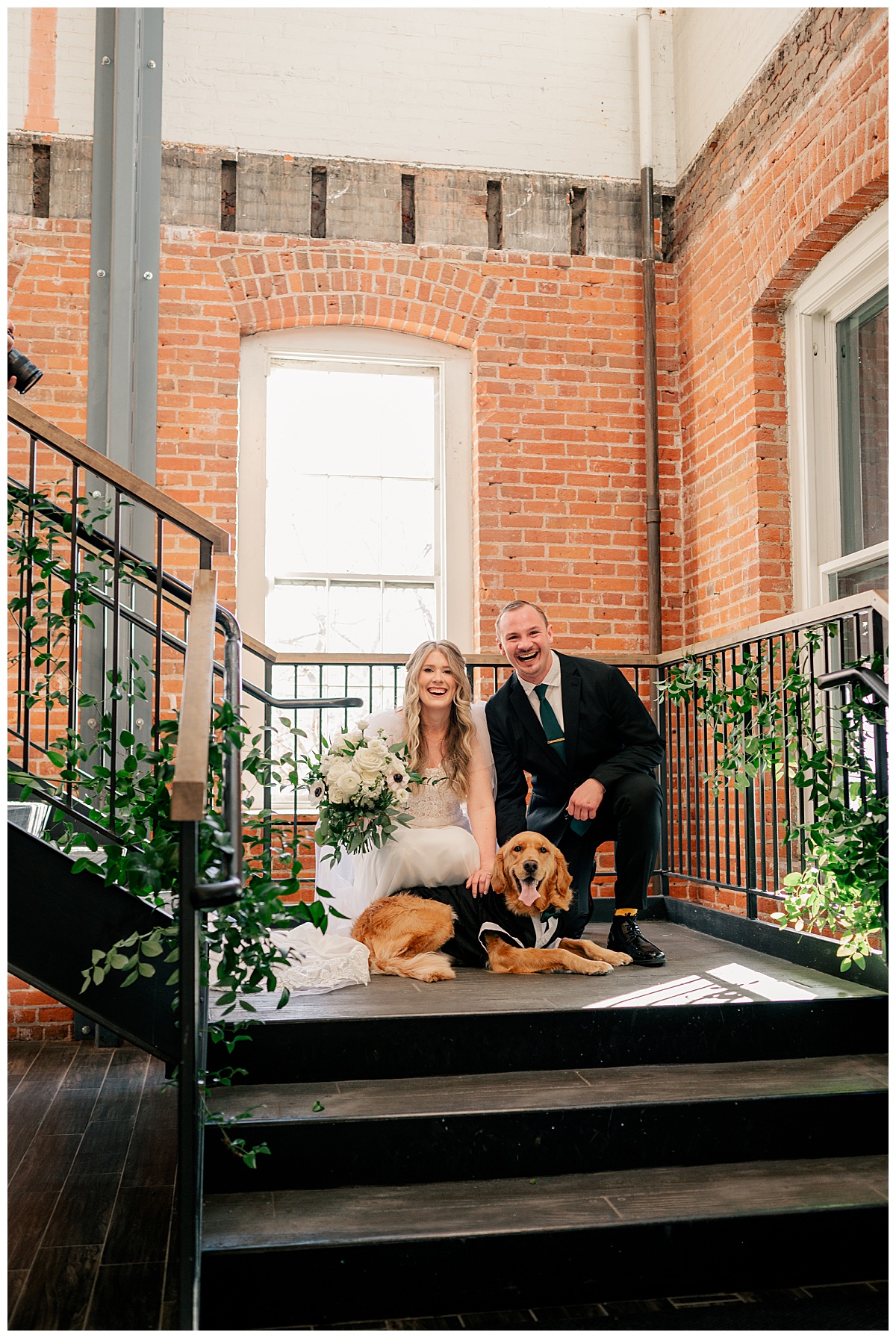 bride and groom sit on landing learning How to Incorporate Your Dog Into Your Wedding Photos