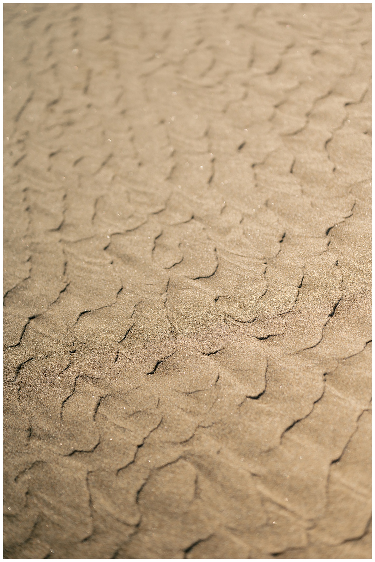patterns in sand from waves by Rule Creative Co