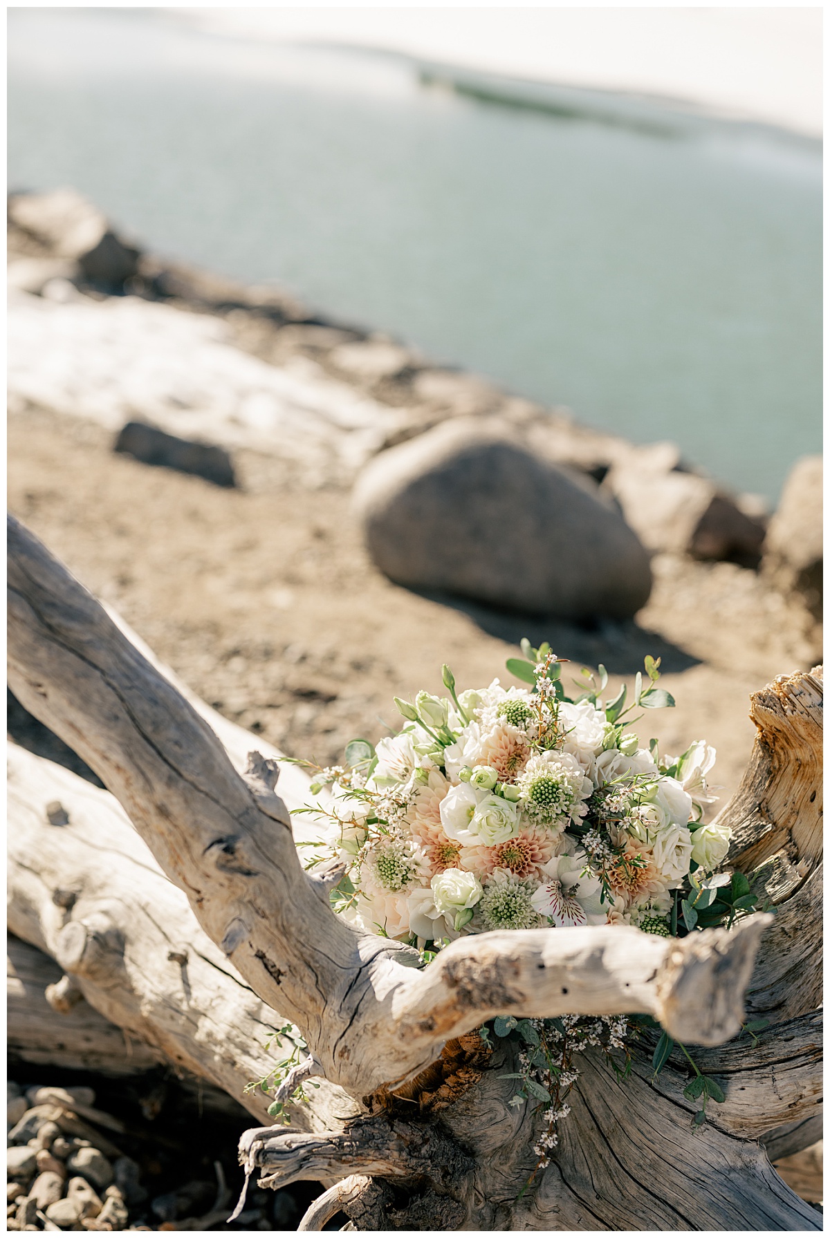 wedding florals sit on fallen tree at photographer's favorite engagement & elopement session destinations 