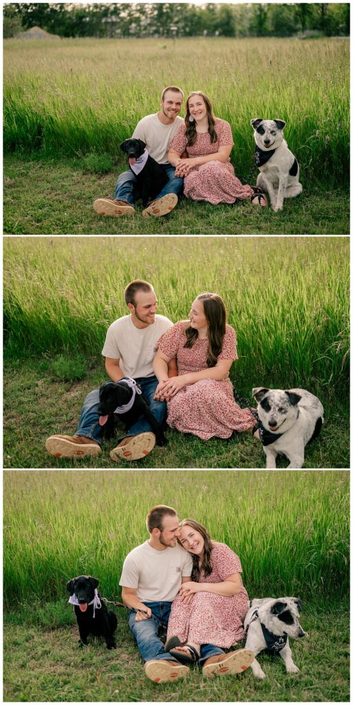 couple sits in prairie with their pups by Minnesota wedding photographer