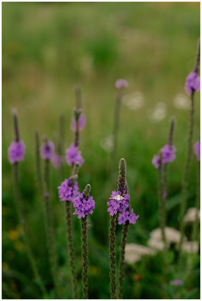 wedding ring sits on purple wildflowers by Rule Creative Co