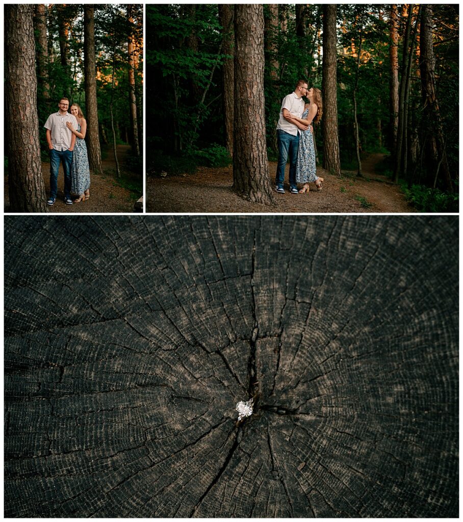 ring sits in tree stump at engagement at St. John's University