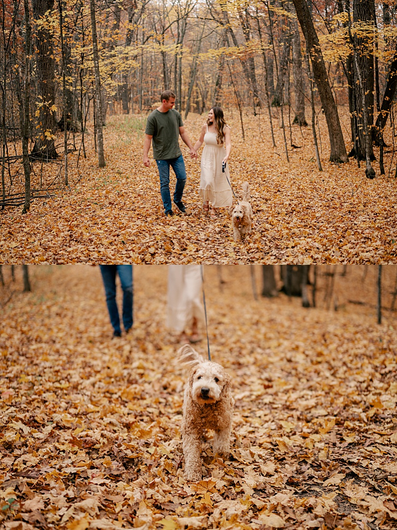 couple walk through fall leaves with their dog by Minnesota wedding photographer 