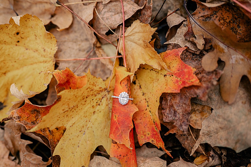 diamond engagement ring on orange leaf by Rule Creative Co