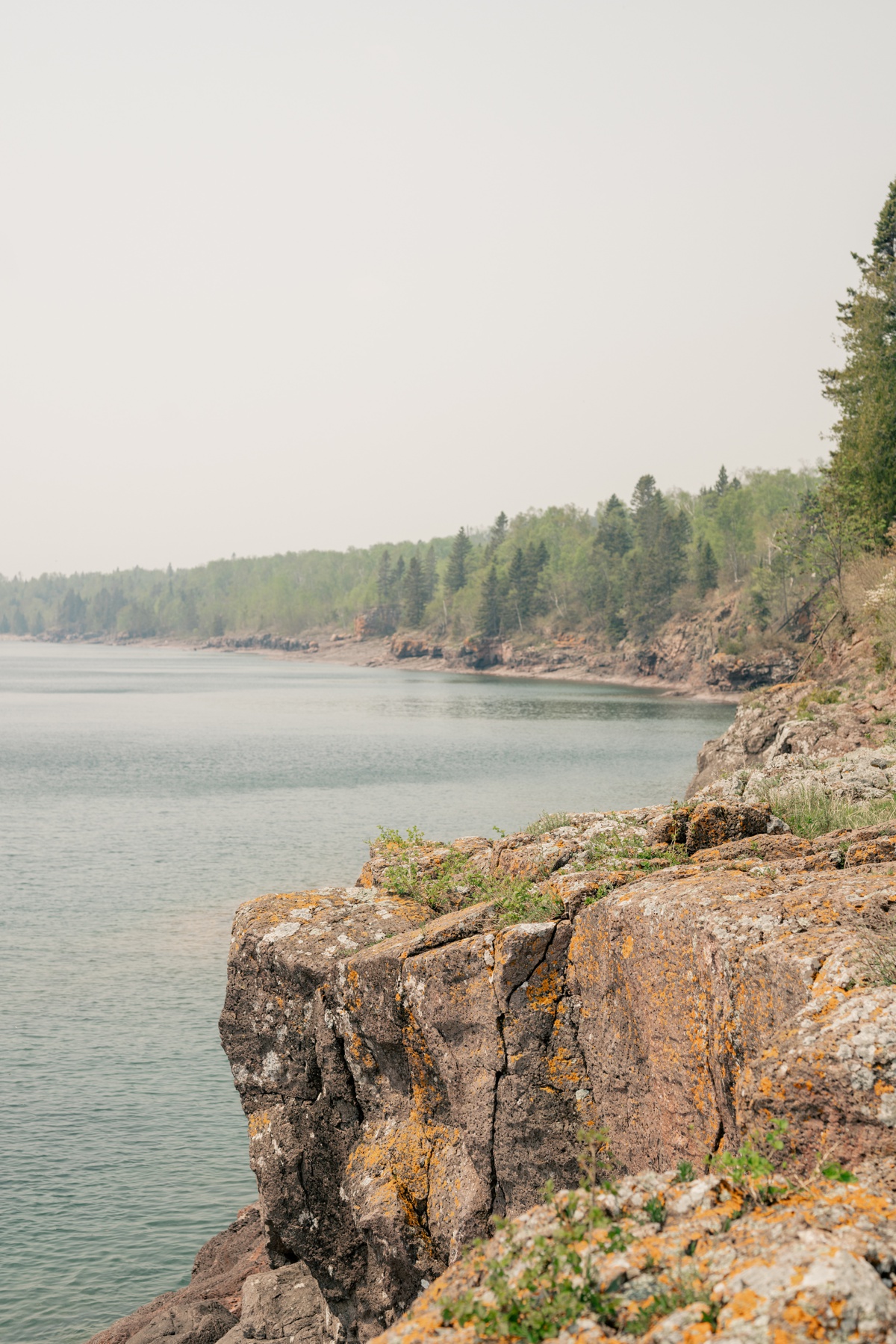 Tree-filled banks of Lake Superior during a North Shore Elopement