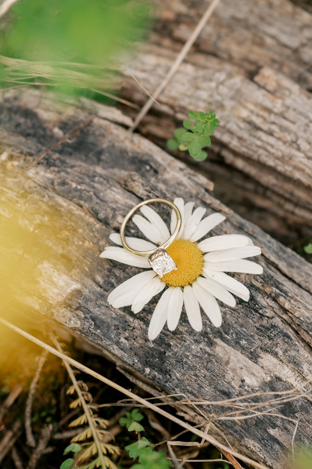 Macro photo of diamond ring during Joyful Summer Engagement Session