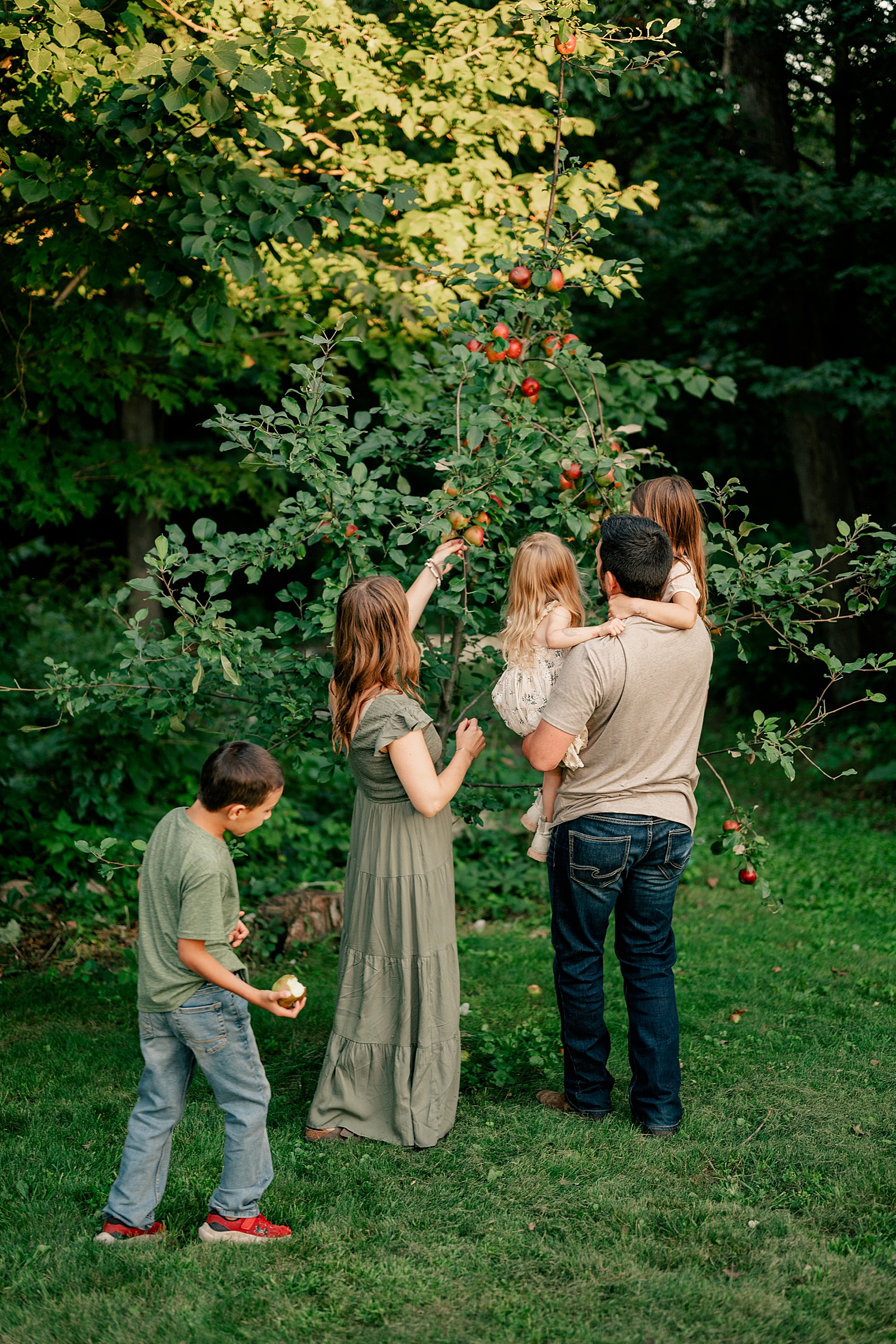 family picks apples from backyard tree for homegrown sessions