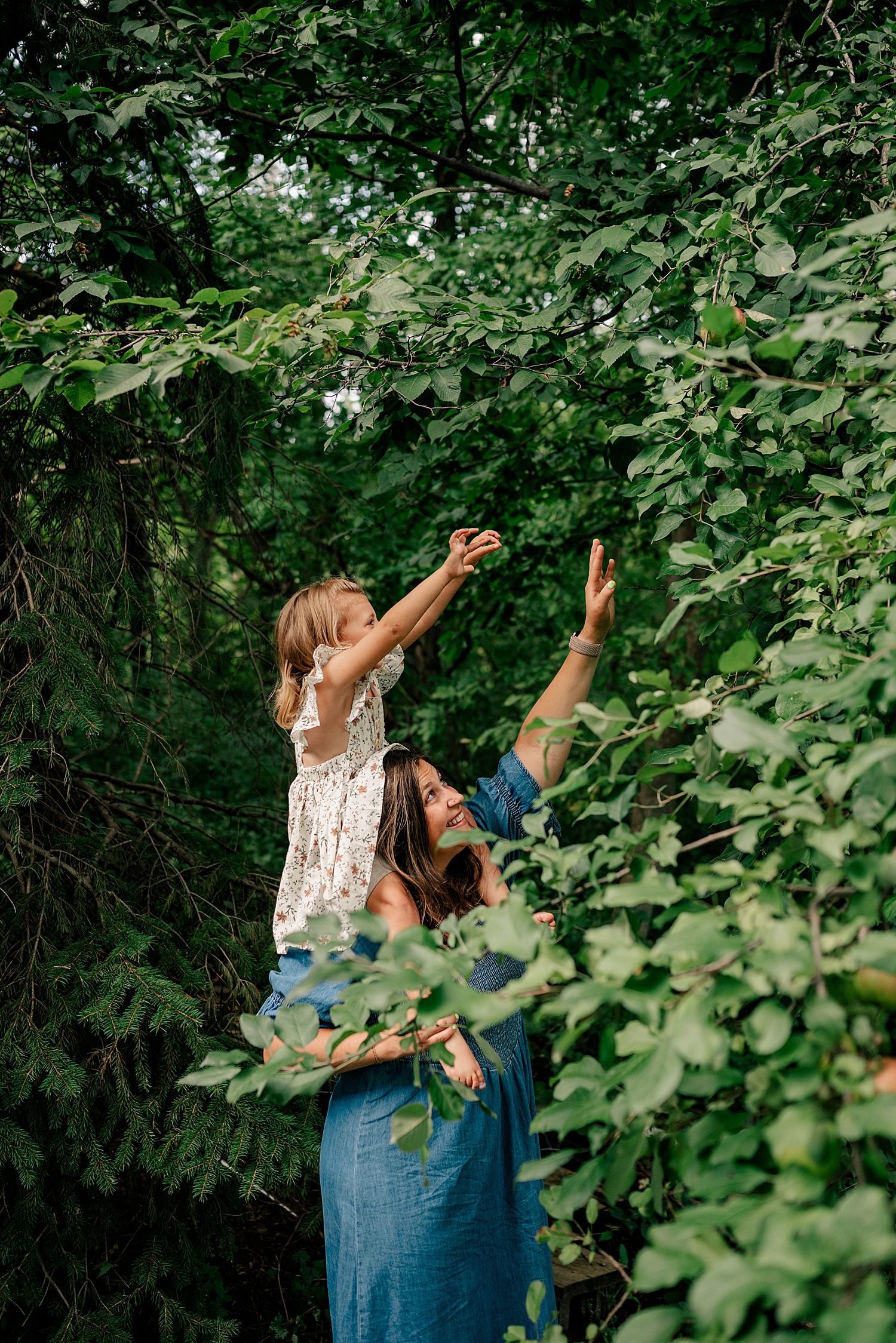 mother reaches up for fruit in tree by Minnesota family photographer