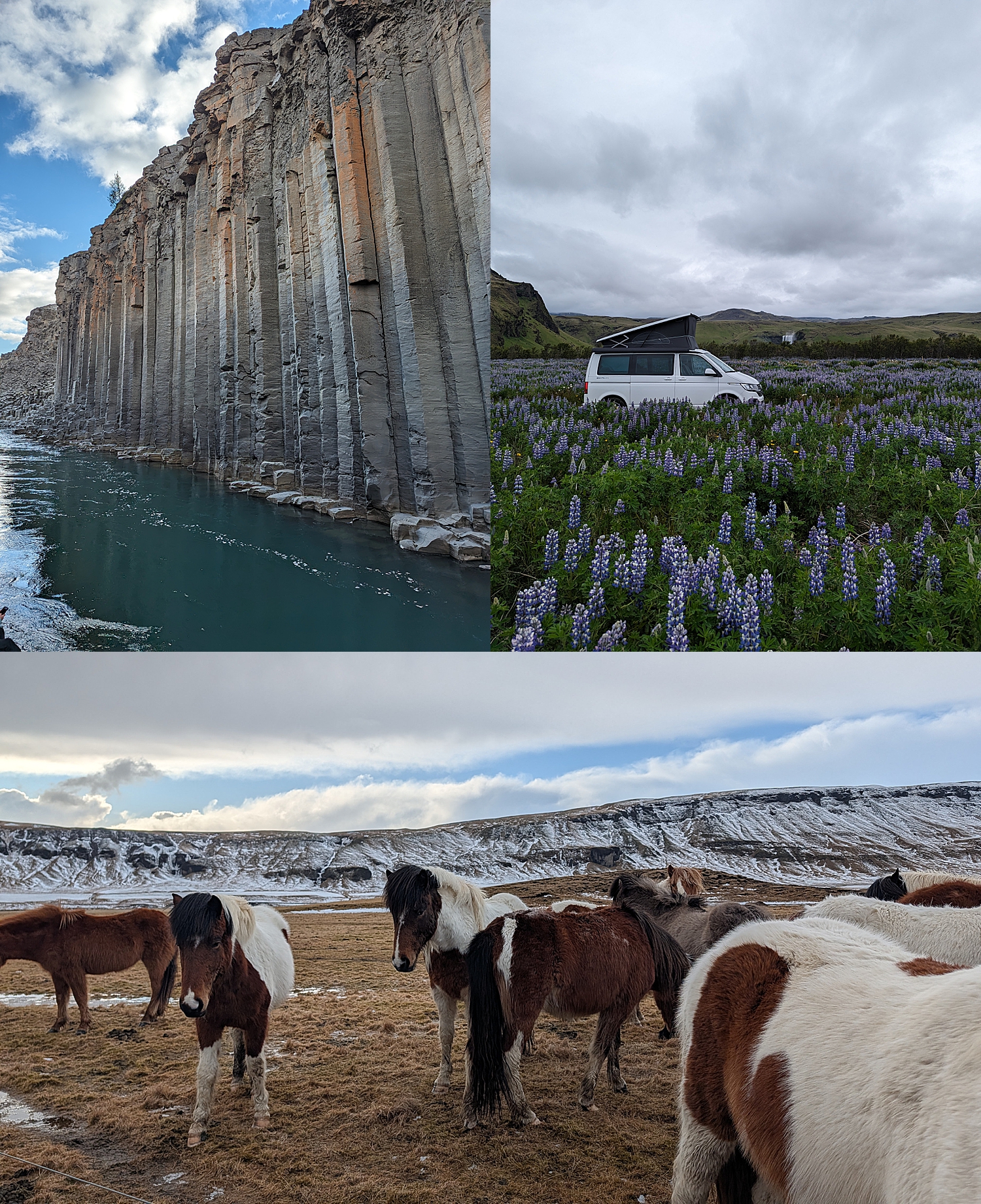 large cliffs by lavender fields and horses by Destination wedding photographer