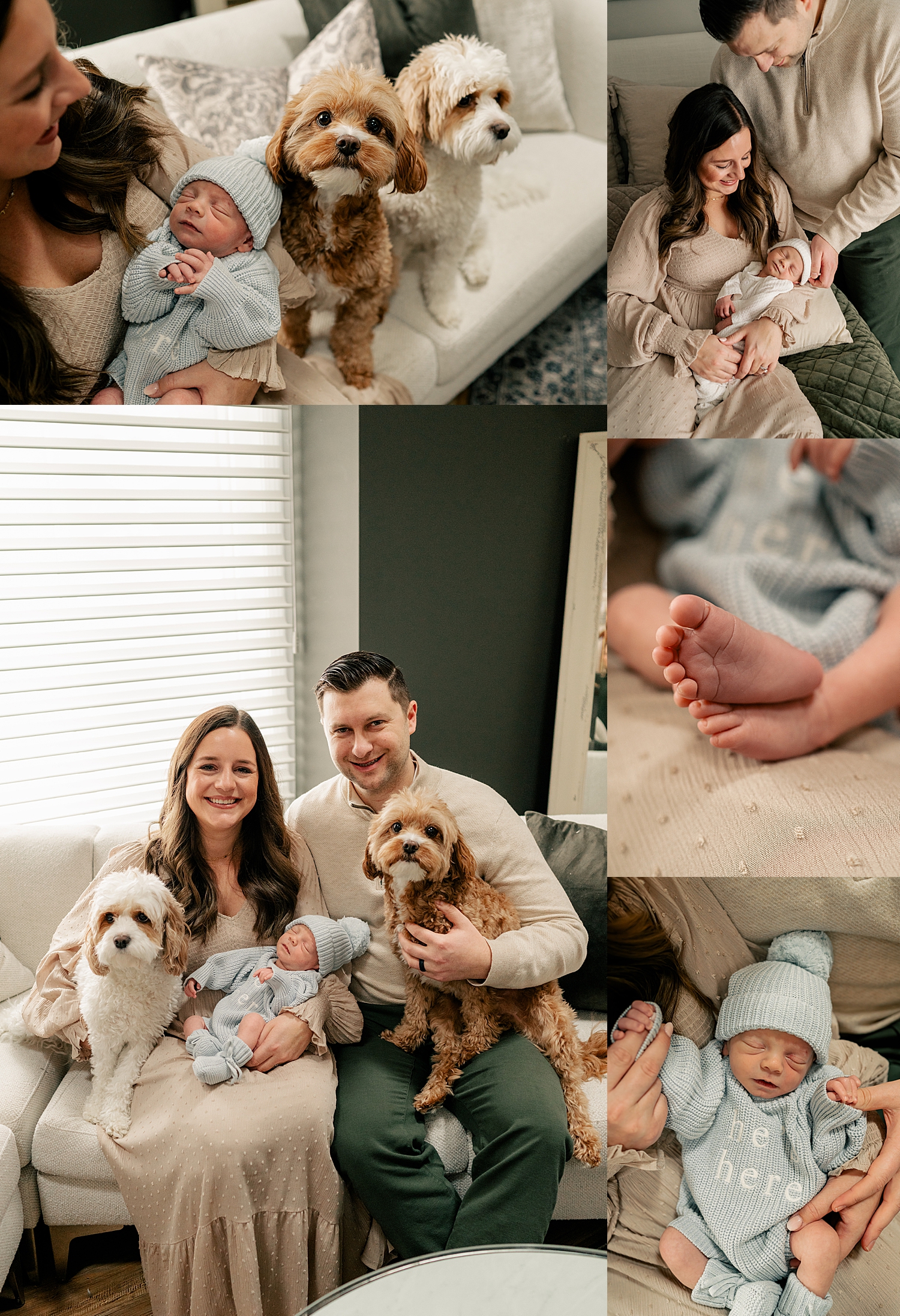 family of three snuggle with dogs in nursery for in-home session
