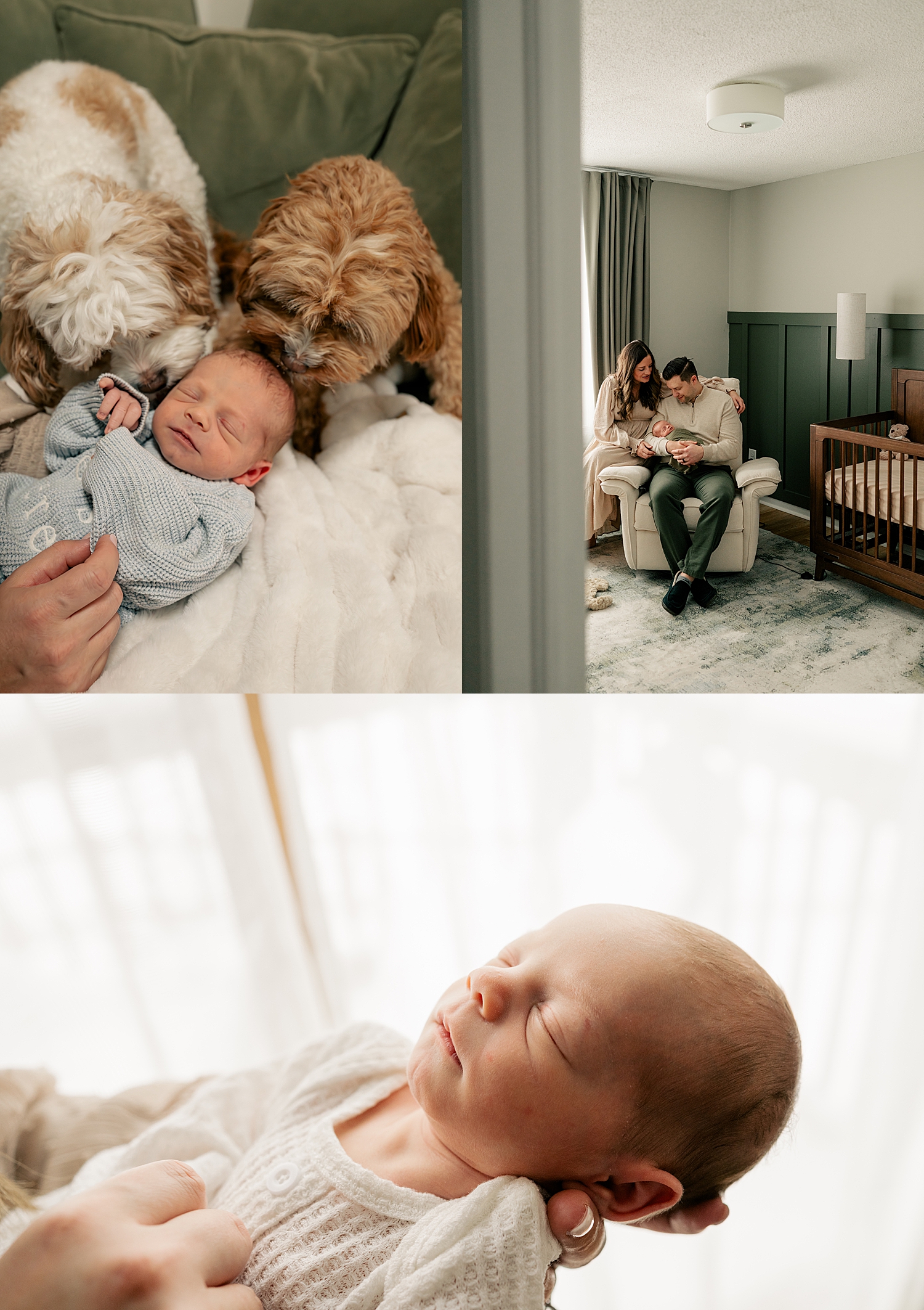 infant is on couch with two pups nearby by Rule Creative Co