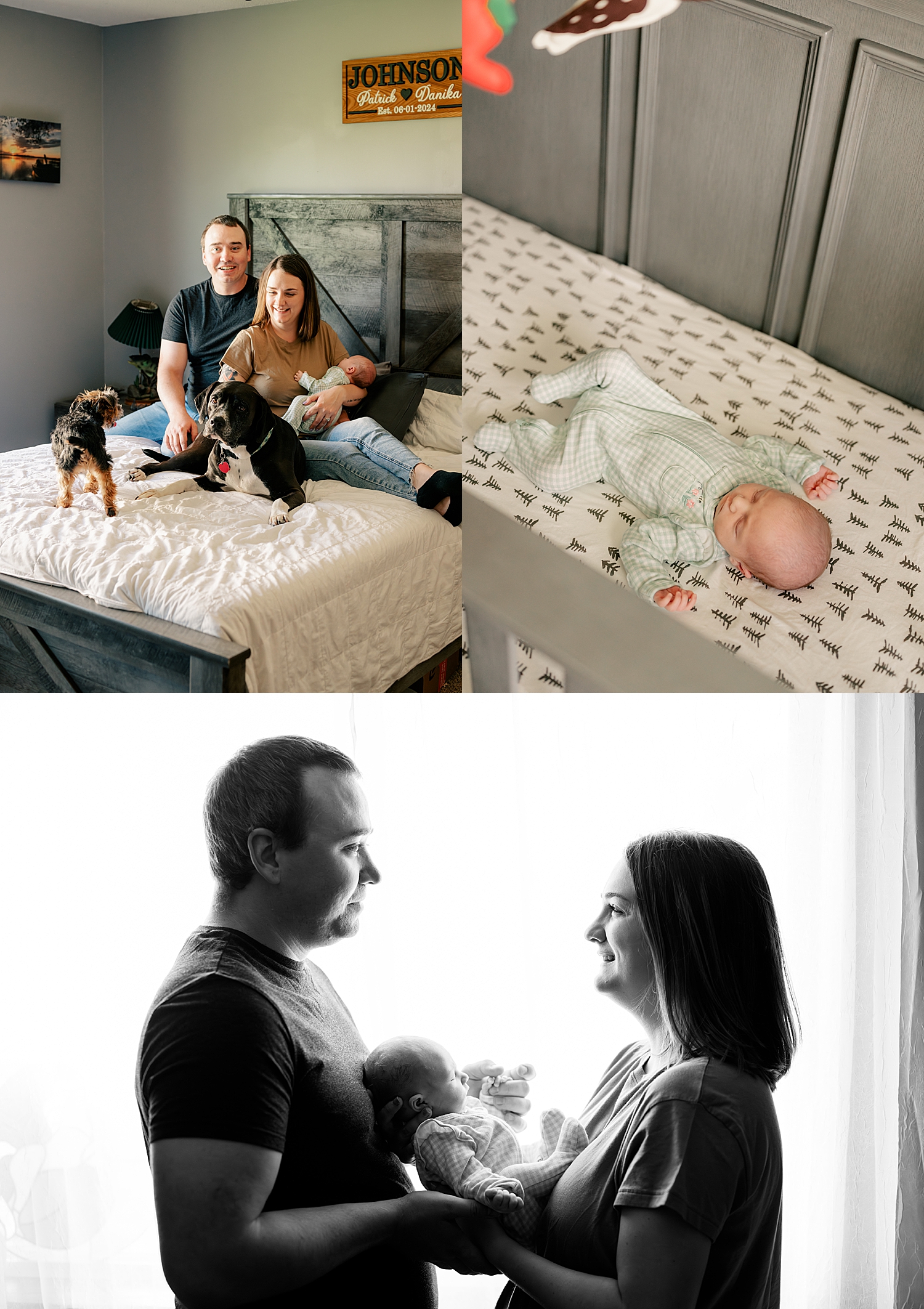 couple sits on their bed with dogs holding new baby by Minnesota family photographer