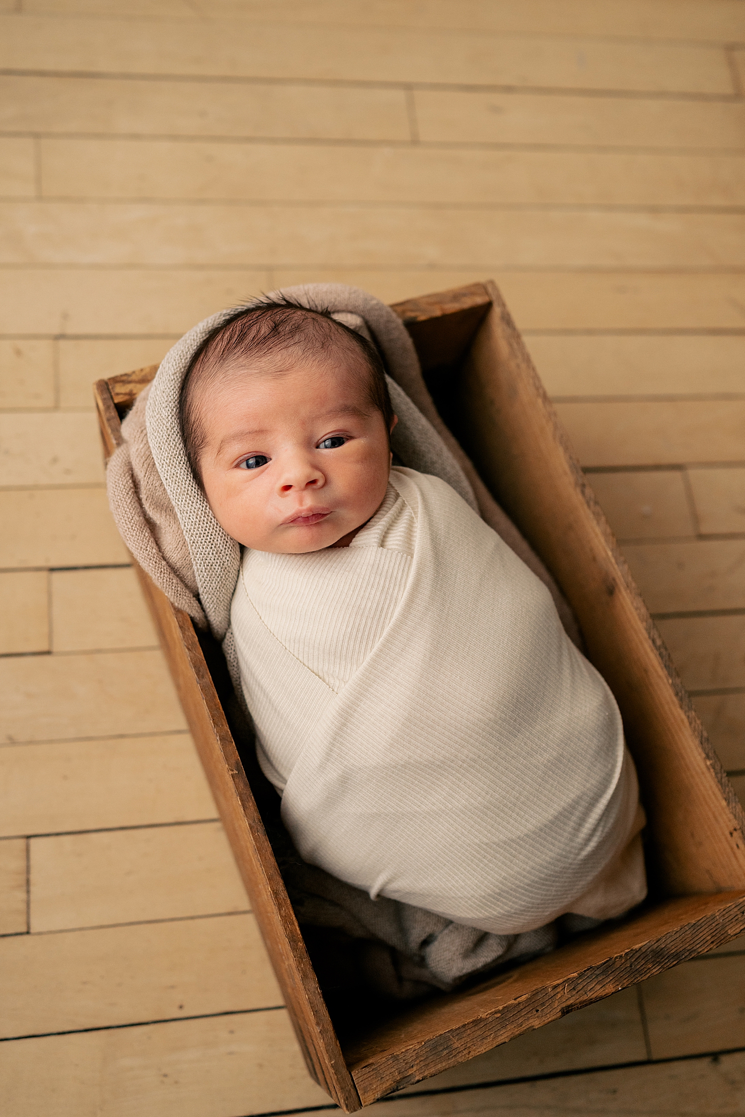 small baby in a mini crib wrapped in white by Minnesota family photographer