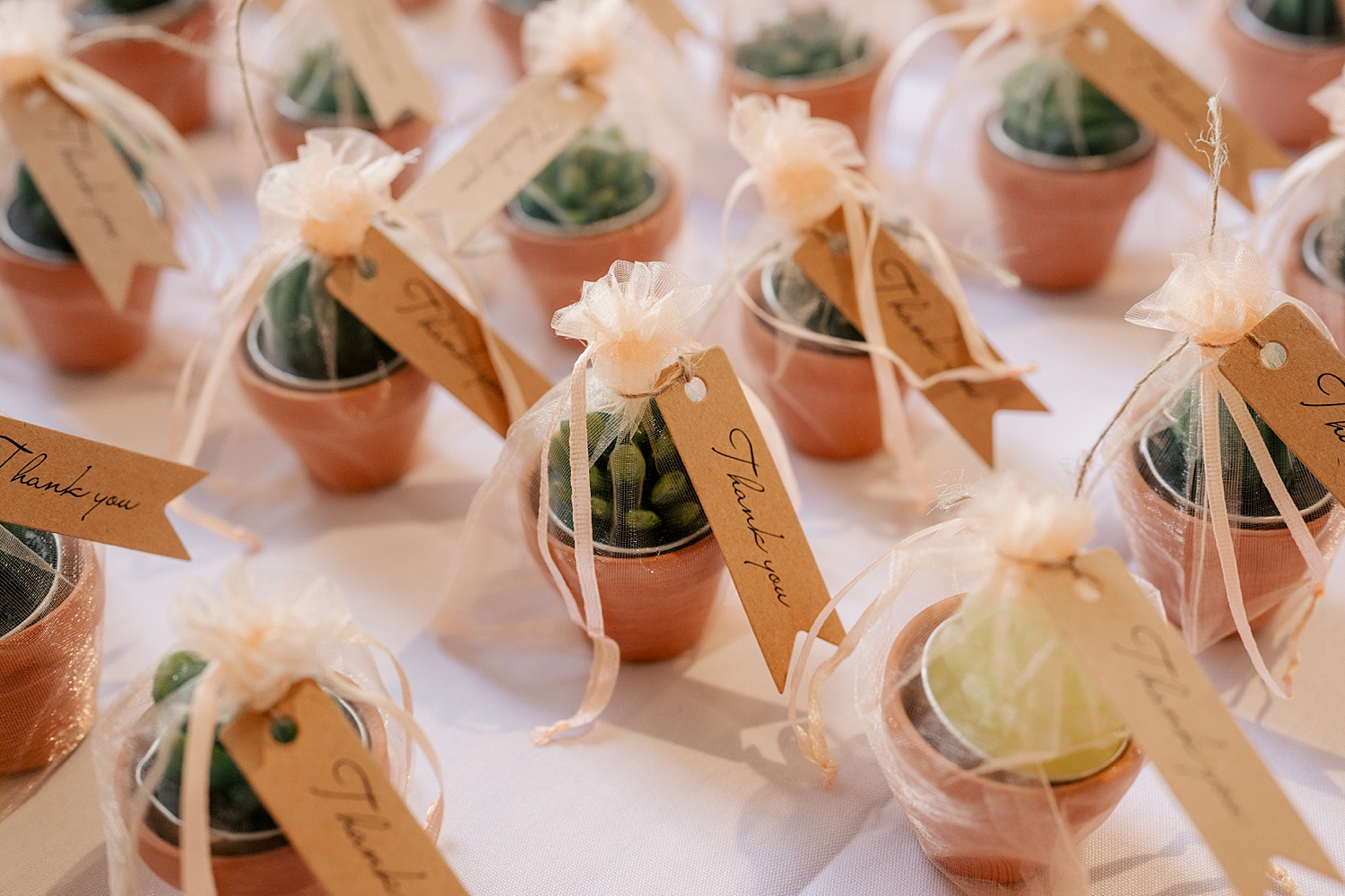 tiny potted plants as party favors by Rule Creative Co