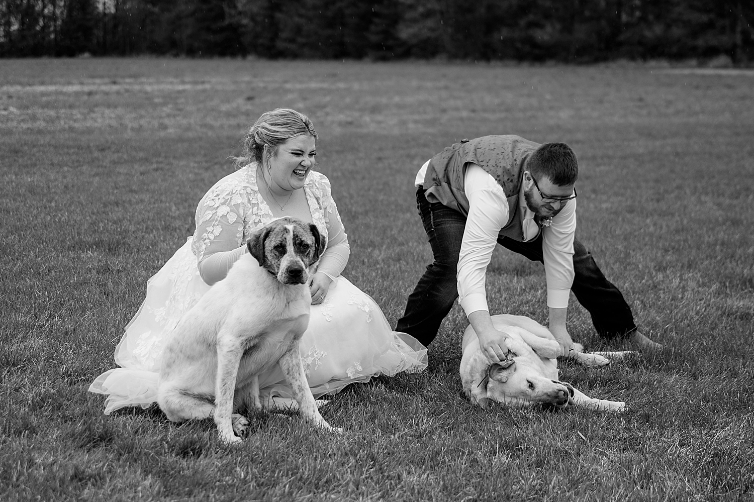 bride and groom snuggle with their dogs laughing in a yard at The Hayshed